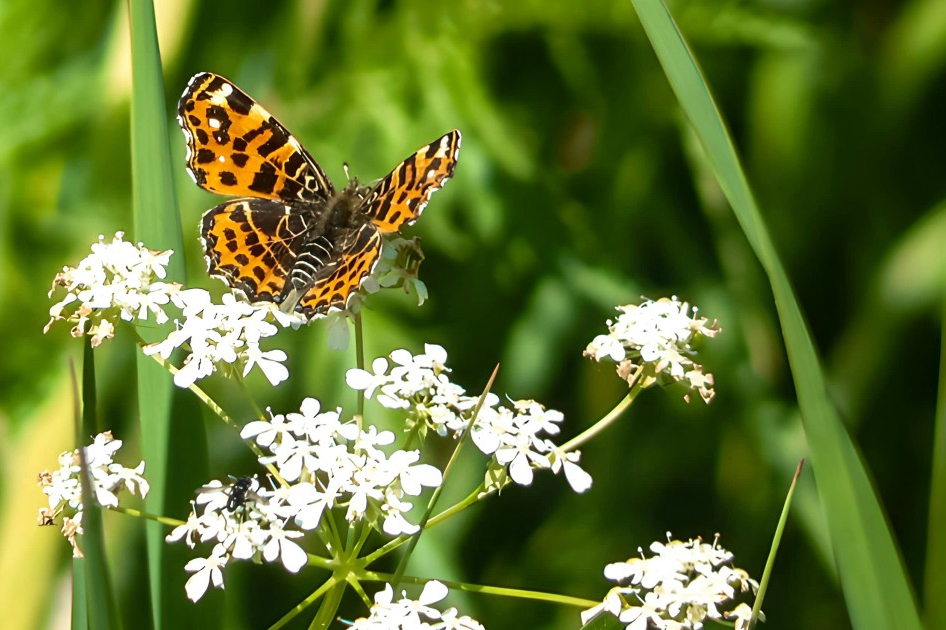 een jaar vol ontdekkingen