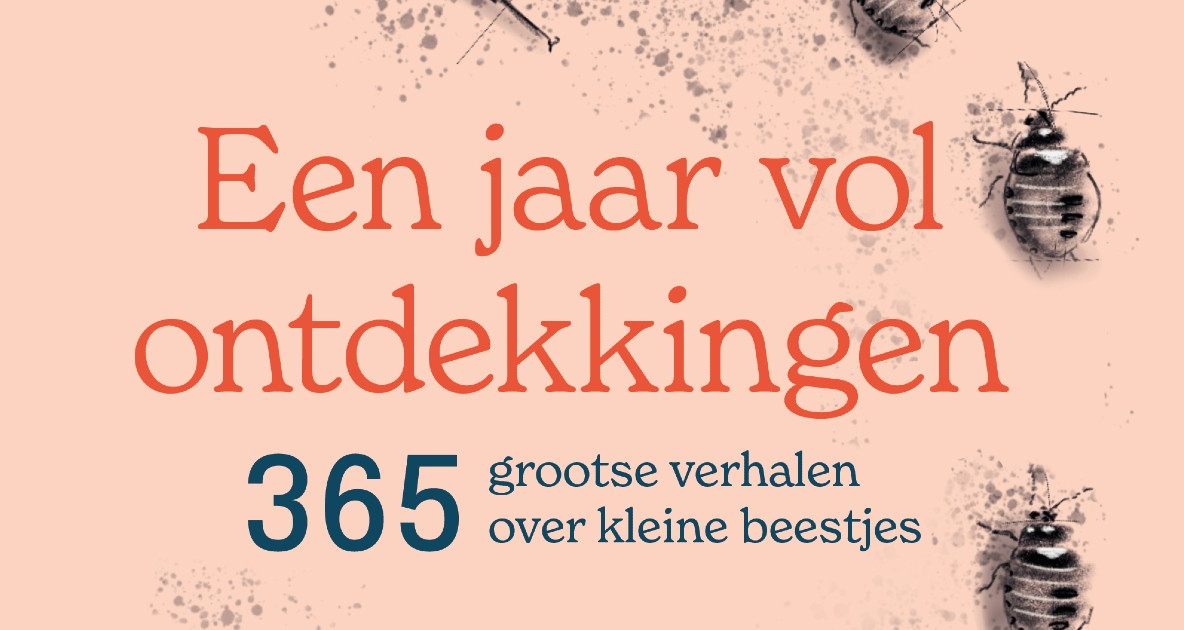 Een jaar vol ontdekkingen