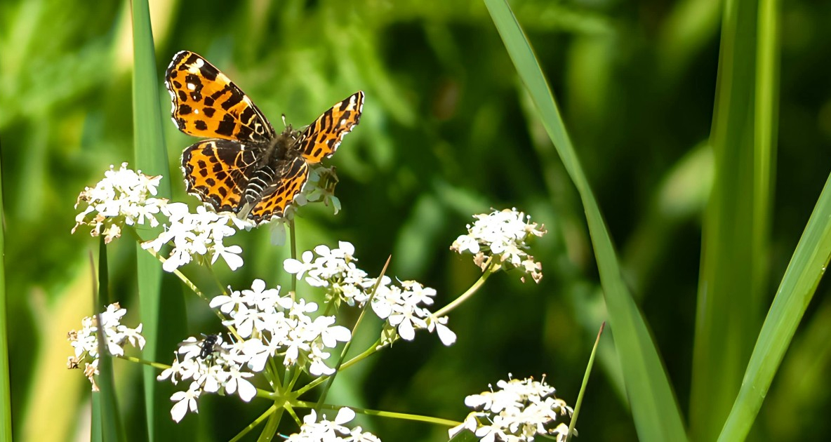 een jaar vol ontdekkingen