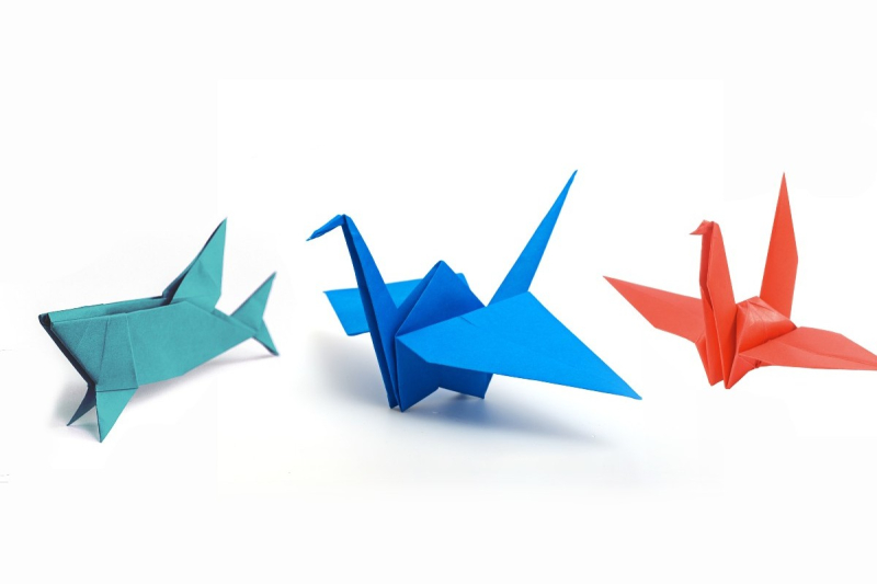 academia press business essentials